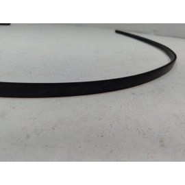 2018-2025 TOYOTA CAMRY ROOF RIGHT PASSENGER SIDE DRIP MOLDING TRIM OEM