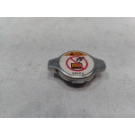 2018-2025 TOYOTA CAMRY 2.5L RADIATOR TANK RESERVOIR FILLER CAP COVER LID OEM