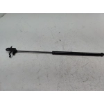 2018-2025 TOYOTA CAMRY TRUNK LID PASSENGER SIDE LIFT SUPPORT CYLINDER STRUT OEM