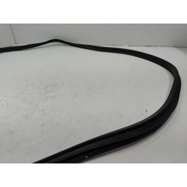 2018-2025 TOYOTA CAMRY REAR TRUNK DECK LID WEATHERSTRIP SEAL OEM