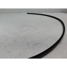 2018-2025 TOYOTA CAMRY ROOF LEFT DRIVER SIDE DRIP MOLDING TRIM OEM