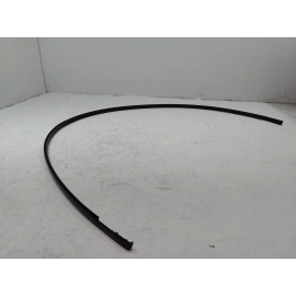 2018-2025 TOYOTA CAMRY ROOF RIGHT PASSENGER SIDE DRIP MOLDING TRIM OEM