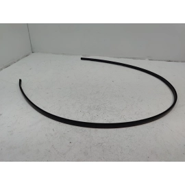 2018-2025 TOYOTA CAMRY ROOF RIGHT PASSENGER SIDE DRIP MOLDING TRIM OEM