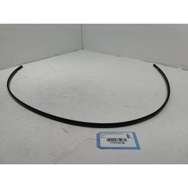 2018-2025 TOYOTA CAMRY ROOF RIGHT PASSENGER SIDE DRIP MOLDING TRIM OEM