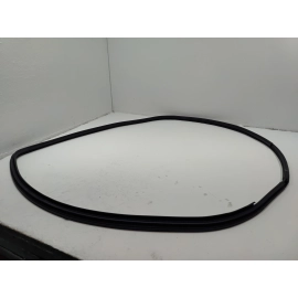 2018-2024 TOYOTA CAMRY REAR RIGHT PASSENGER SIDE DOOR BODY WEATHERSTRIP SEAL OEM