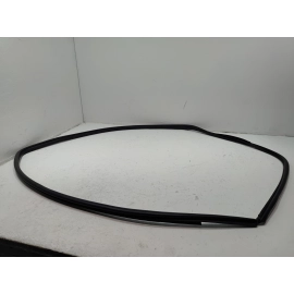 2018-2024 TOYOTA CAMRY FRONT PASSENGER SIDE DOOR BODY WEATHERSTRIP SEAL OEM