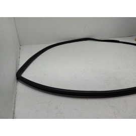 2018-2024 TOYOTA CAMRY FRONT PASSENGER SIDE DOOR BODY WEATHERSTRIP SEAL OEM