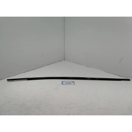 2018-2025 TOYOTA CAMRY FRONT RIGHT PASSENGER SIDE DOOR WINDOW BELT MOLDING OEM