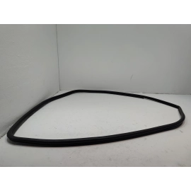 2018-2024  TOYOTA CAMRY REAR LEFT DRIVER SIDE DOOR BODY WEATHERSTRIP SEAL OEM