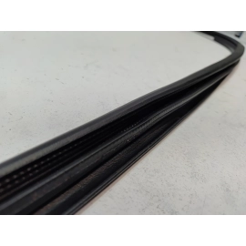 2018-2024  TOYOTA CAMRY REAR LEFT DRIVER SIDE DOOR BODY WEATHERSTRIP SEAL OEM