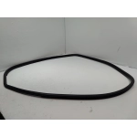 2018-2024  TOYOTA CAMRY REAR LEFT DRIVER SIDE DOOR BODY WEATHERSTRIP SEAL OEM