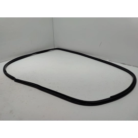 2018-2024 TOYOTA CAMRY FRONT LEFT DRIVER SIDE DOOR BODY WEATHERSTRIP SEAL OEM