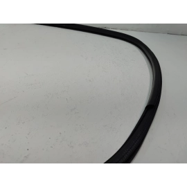 2018-2024 TOYOTA CAMRY FRONT LEFT DRIVER SIDE DOOR BODY WEATHERSTRIP SEAL OEM
