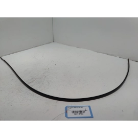 2018-2025 TOYOTA CAMRY ROOF LEFT DRIVER SIDE DRIP MOLDING TRIM  OEM