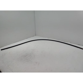 2018-2025 TOYOTA CAMRY ROOF LEFT DRIVER SIDE DRIP MOLDING TRIM  OEM