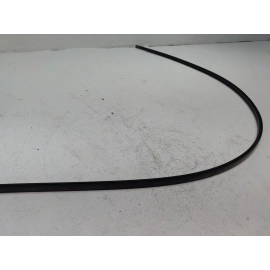 2018-2025 TOYOTA CAMRY ROOF LEFT DRIVER SIDE DRIP MOLDING TRIM  OEM