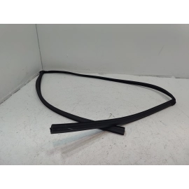 2016-2021 HONDA CIVIC FRONT DRIVER DOOR WINDOW GLASS RUN CHANNEL SEAL OEM