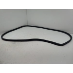 2016-2021 HONDA CIVIC FRONT LEFT OR RIGHT DOOR BODY WEATHERSTRIP INNER SEAL OEM