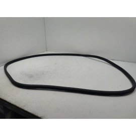 2016-2021 HONDA CIVIC FRONT LEFT OR RIGHT DOOR BODY WEATHERSTRIP INNER SEAL OEM