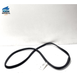 Rear Left Driver Side Door Seal Weatherstrip Acura TLX 2015-2020 OEM 1PCS