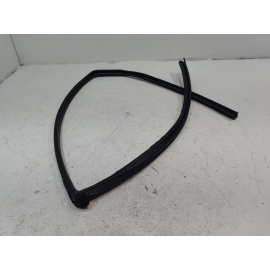 2016-2021 HONDA CIVIC REAR LEFT DRIVER DOOR WINDOW GLASS RUN CHANNEL SEAL OEM