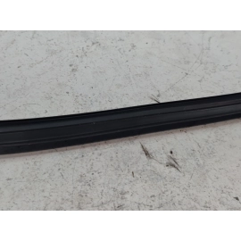 2016-2021 HONDA CIVIC REAR LEFT DRIVER DOOR WINDOW GLASS RUN CHANNEL SEAL OEM