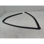 2016-2021 HONDA CIVIC REAR LEFT DRIVER DOOR WINDOW GLASS RUN CHANNEL SEAL OEM