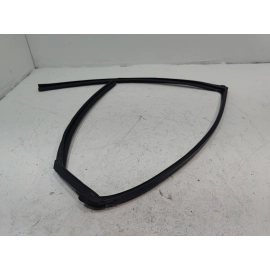 2016-2021 HONDA CIVIC REAR LEFT DRIVER DOOR WINDOW GLASS RUN CHANNEL SEAL OEM