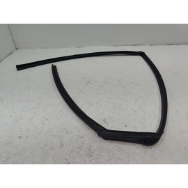 2016-2021 HONDA CIVIC REAR LEFT DRIVER DOOR WINDOW GLASS RUN CHANNEL SEAL OEM