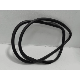 2016-2021 HONDA CIVIC FRONT LEFT OR RIGHT DOOR BODY WEATHERSTRIP INNER SEAL OEM