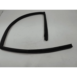 2015-2020 Ford F-150 Front Passenger Side Door Window Glass Run Channel Seal OEM