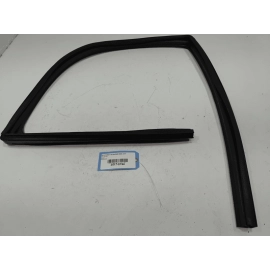 2015-2020 Ford F-150 Front Passenger Side Door Window Glass Run Channel Seal OEM