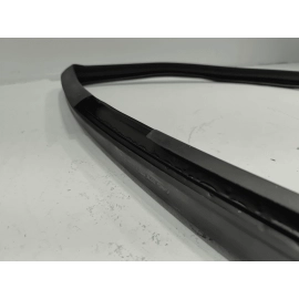 2015-2020 Ford F-150 Front Passenger Side Door Window Glass Run Channel Seal OEM