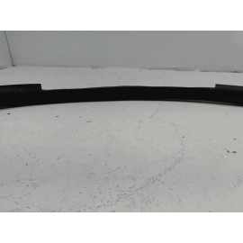 2015-2025 Ford F-150 Front Right Passenger Side Door Body Weatherstrip Seal OEM