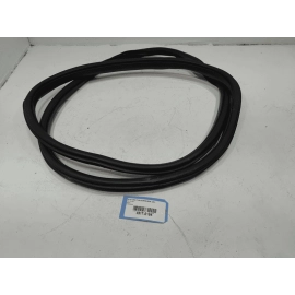 2015-2025 Ford F-150 Front Right Passenger Side Door Body Weatherstrip Seal OEM