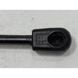 2015-2020 FORD F-150 FRONT PASSENGER SIDE HOOD SHOCK LIFT SUPPORT CYLINDER OEM