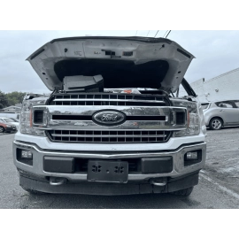 2015-2020 FORD F-150 FRONT DRIVER SIDE HOOD SHOCK LIFT SUPPORT CYLINDER OEM