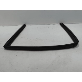2015 - 2025 FORD F-150 REAR PASSENGER SIDE WINDOW RUN CHANNEL SEAL OEM