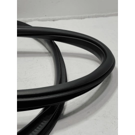 2015-24 FORD F-150 REAR PASSENGER SIDE DOOR BODY WEATHERSTRIP SEAL CREW CAB OEM