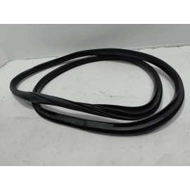 2015-24 FORD F-150 REAR PASSENGER SIDE DOOR BODY WEATHERSTRIP SEAL CREW CAB OEM