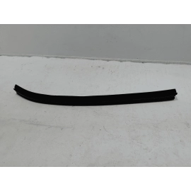 2015-20 FORD F-150 REAR PASSENGER DOOR WINDOW INNER BELT SEAL WEATHER STRIP OEM
