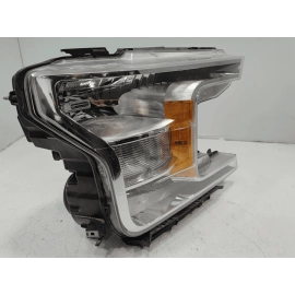 2018-2020 Ford F-150 Front Right Passenger Side Headlight Light Halogen Lamp OEM