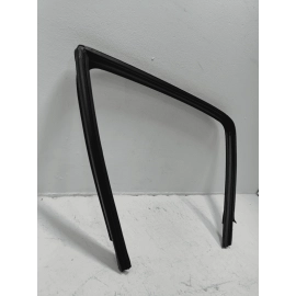 2015 - 2025 FORD F-150 REAR DRIVER SIDE WINDOW RUN CHANNEL SEAL OEM