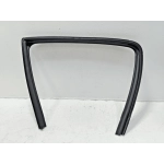 2015 - 2025 FORD F-150 REAR DRIVER SIDE WINDOW RUN CHANNEL SEAL OEM