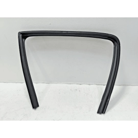 2015 - 2025 FORD F-150 REAR DRIVER SIDE WINDOW RUN CHANNEL SEAL OEM