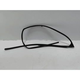 2016-2021 HONDA PILOT FRONT RIGHT SIDE DOOR WINDOW GLASS RUN CHANNEL SEAL OEM