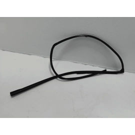 2016-2021 HONDA PILOT FRONT RIGHT SIDE DOOR WINDOW GLASS RUN CHANNEL SEAL OEM