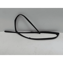 2016-2021 HONDA PILOT FRONT RIGHT SIDE DOOR WINDOW GLASS RUN CHANNEL SEAL OEM