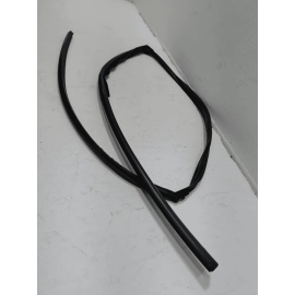 2016-2021 HONDA PILOT FRONT DRIVER SIDE DOOR WINDOW GLASS RUN CHANNEL SEAL OEM