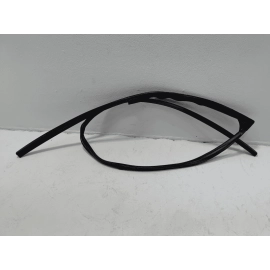 2016-2021 HONDA PILOT FRONT DRIVER SIDE DOOR WINDOW GLASS RUN CHANNEL SEAL OEM